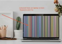 Why Are Coloured Lines on Laptop Screen